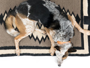 Saguaro Wool Dog Mat