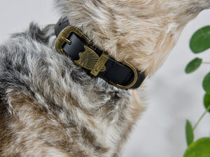 Western Dog Collar