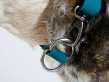 Deep Teal Suede Collar