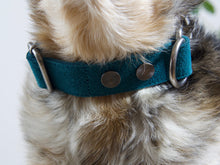 Deep Teal Suede Collar