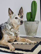Gardenia Collar
