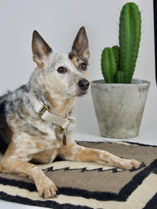 Gardenia Collar