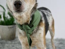 Sage Green Linen Dog Bandana