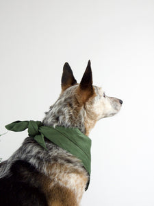 Sage Green Linen Dog Bandana
