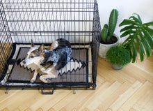 Saguaro Wool Dog Mat
