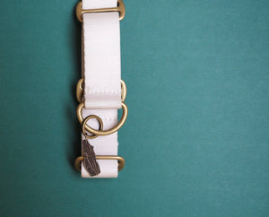 Person + Dog Charm