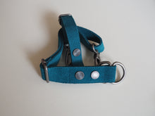 Deep Teal Suede Collar