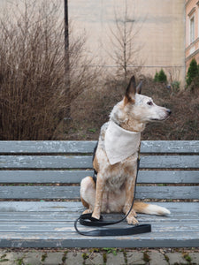 Natural Linen Dog Bandana